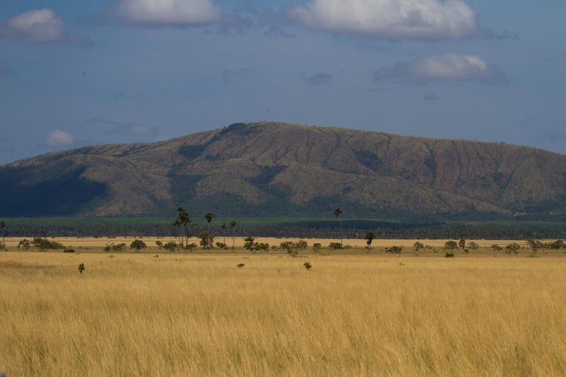 Amazon Treehouse Retreat